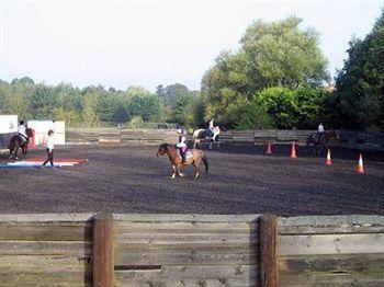Willowbrook Riding Centre Чічестер Екстер'єр фото